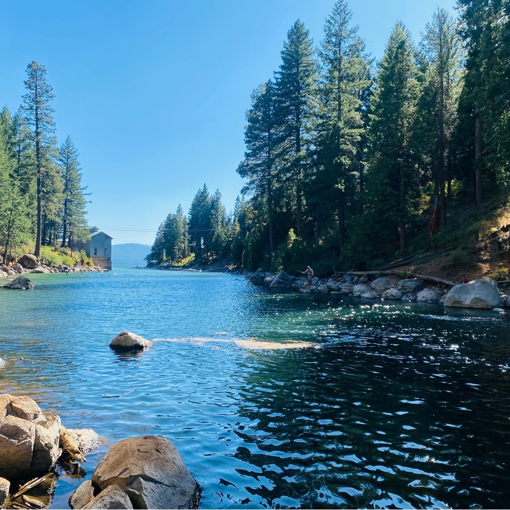 Meet your Posher, Lcea norma